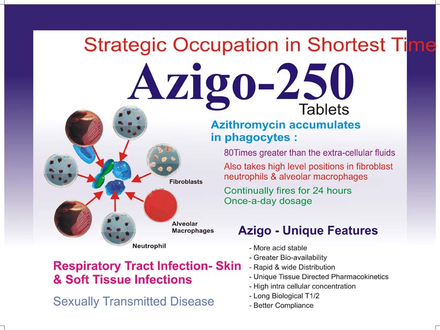 AZIGO 250.jpg